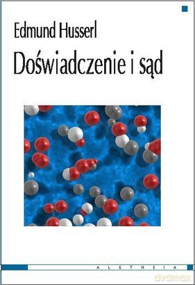 Doświadczenie i sąd [KSIĄŻKA]