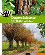 Drzewa liściaste i iglaste w Polsce [KSIĄŻKA]