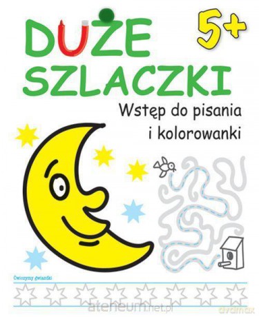 Duże szlaczki. Wstęp do pisania i kolorowania 5+ [KSIĄŻKA]