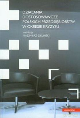 Działania dostosowawcze przedsiębiorstw... [KSIĄŻKA]