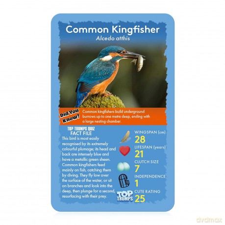 Top Trumps Classics Birds of The World
