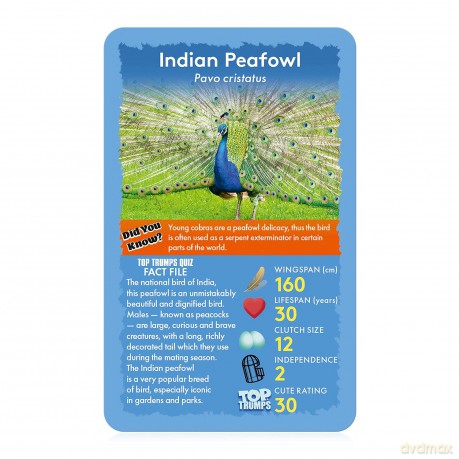 Top Trumps Classics Birds of The World