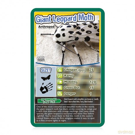 Top Trumps Classics Bugs
