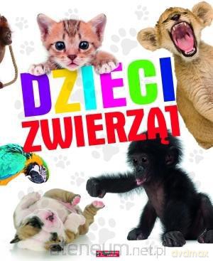 Dzieci zwierząt w.2013 [KSIĄŻKA]