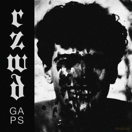Rzwd: Gaps [CD]