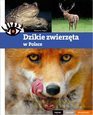 Dzikie zwierzęta w Polsce [KSIĄŻKA]