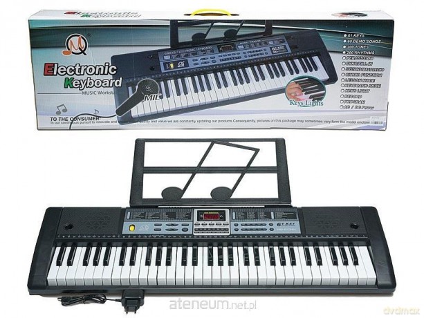 Organki 61 klawiszy z mikrofonem