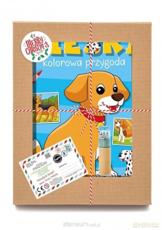 Paczka świąteczna z 6 kolorowankami
