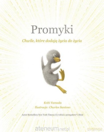 Promyki - Yamada Kobi [KSIĄŻKA]