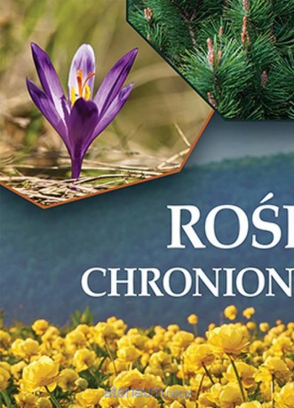 Rośliny chronione w Polsce [KSIĄŻKA]