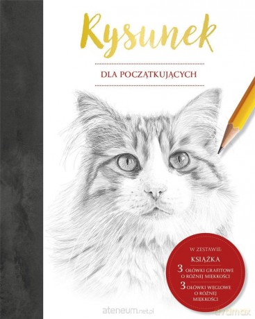 Rysunek dla początkujących - Steve Smallman, Gaby Goldsack [KSIĄŻKA]