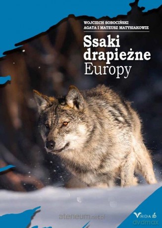 Ssaki drapieżne Europy - Wojciech Sobociński [KSIĄŻKA]