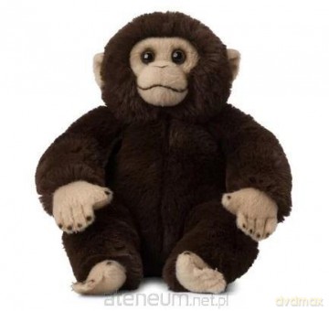 Szympans 23cm WWF