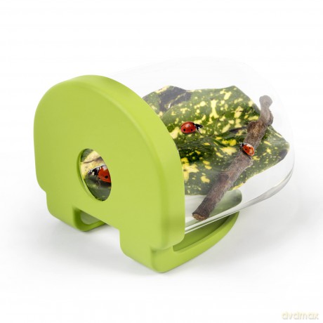 Bug Photography Kit