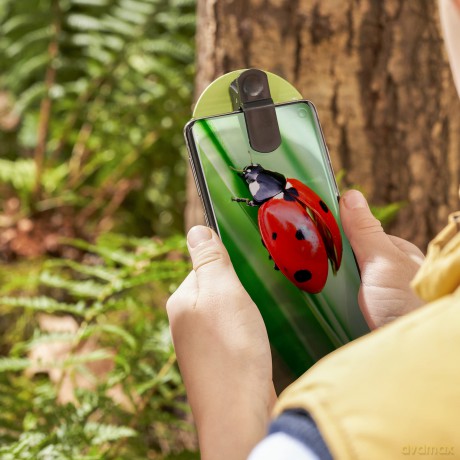 Bug Photography Kit