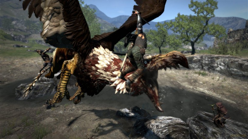 Dragon's Dogma [GRA XBOX360]