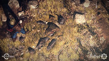 Fallout 76 [GRA PS4]