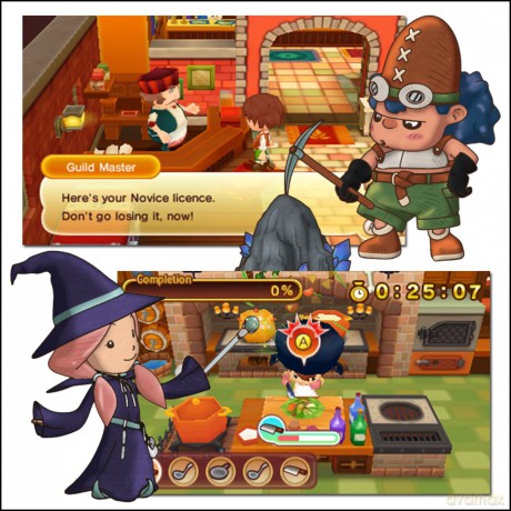 Fantasy Life [GRA 3DS]