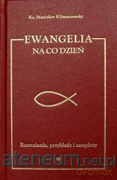 Ewangelia na co dzień T1 WDS [KSIĄŻKA]