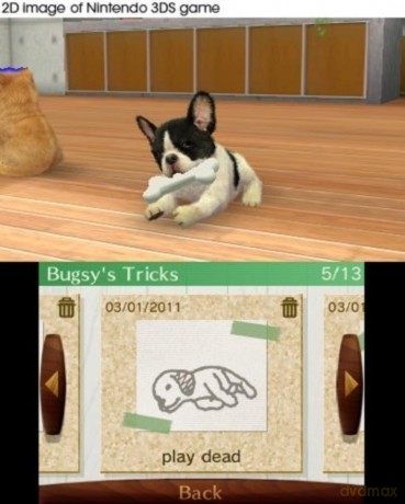 Nintendogs and Cats 3D: Toy Poodle (Selects) [GRA 3DS]