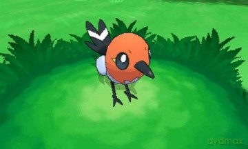 Pokemon Y [GRA 3DS]