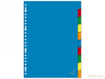 TAB SHEET KANGARO A410M A4 23R BLANCO PP ASS 10DLG blue