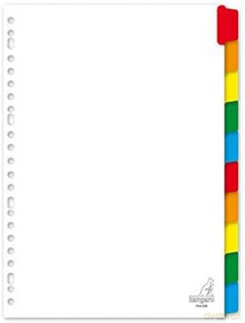 TAB SHEET KANGARO PK410M A4 23R WHITE