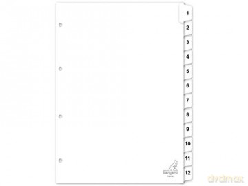 TAB SHEET KANGARO PK412C A4 4-R CARTON NUMBERS 1-12 white