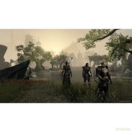 The Elder Scrolls Online: Morrowind [GRA PS4]
