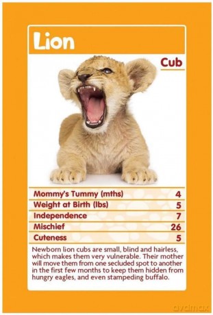 Top Trumps Classics Baby Animals/Toys