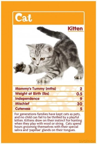 Top Trumps Classics Baby Animals/Toys