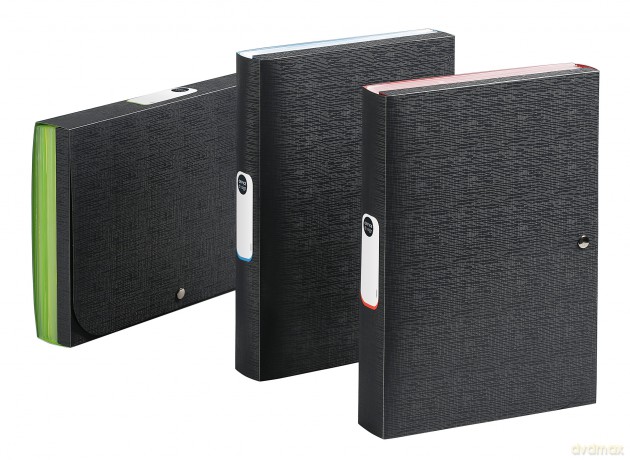 Viquel Cover with 11 Compartments Design Office Filing Box (Multiple Colours)