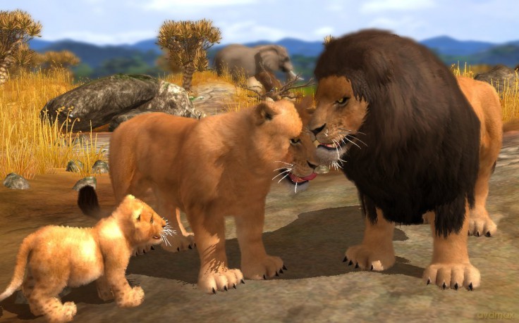 Wildlife Park 3 [GRA PC]