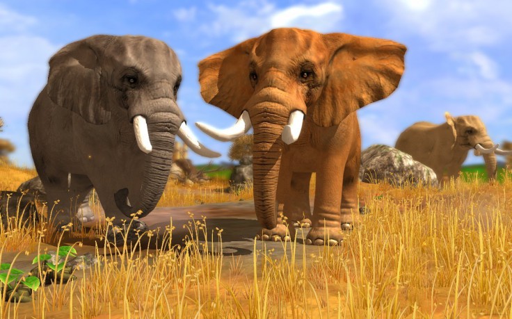 Wildlife Park 3 [GRA PC]