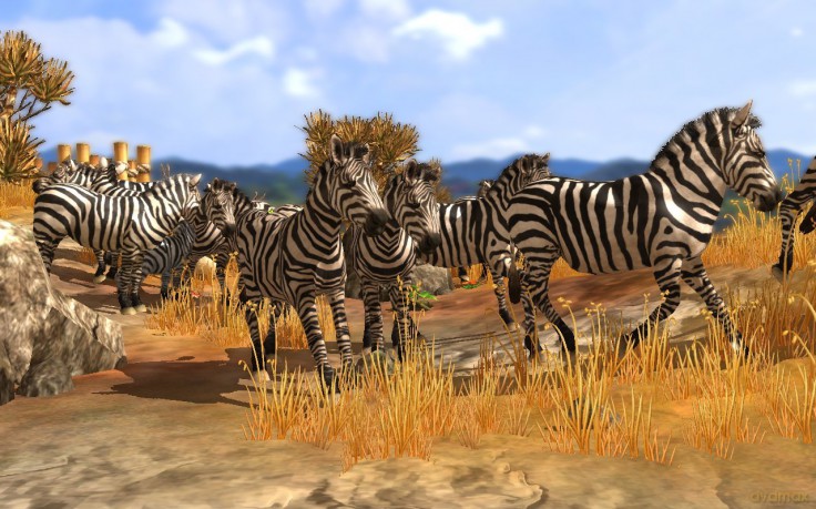 Wildlife Park 3 [GRA PC]