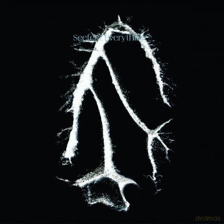 Seefeel: Everything Squared [CD]