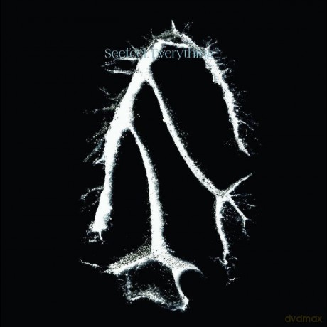 Seefeel: Everything Squared [Winyl]