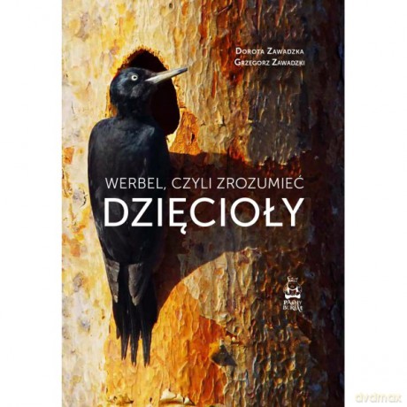 Werbel, czyli zrozumieć dzięcioły - Zawadzka Dorota, Zawadzki Grzegorz [KSIĄŻKA]