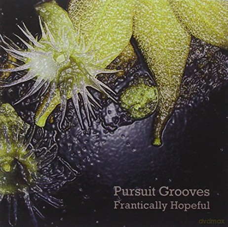 Pursuit Grooves: Frantically Hopeful [CD]
