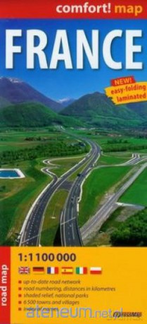 France road map 1:1 100 000 [KSIĄŻKA]
