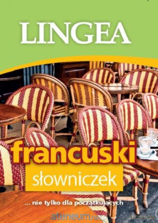 Francuski słowniczek Lingea [KSIĄŻKA]
