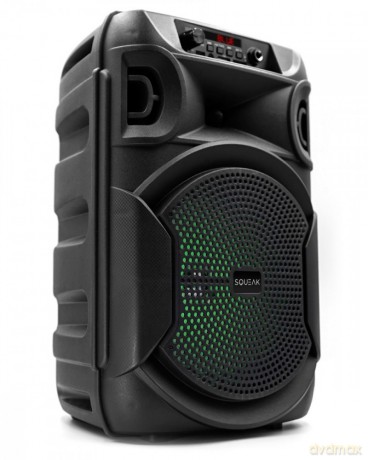 Głośnik Bluetooth 5.3 EDR PulseTower 1000W Funkcja Karaoke SQ1006