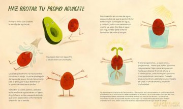!Viva el aguacate!: (Spanish Edition) - Taltal Levi [KSIĄŻKA]