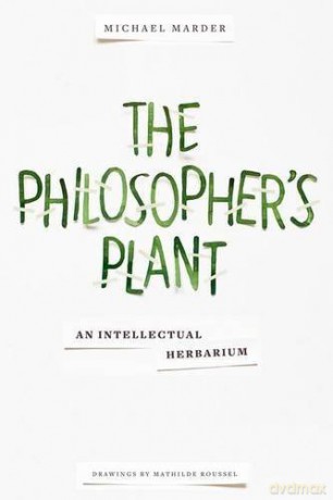 ((The Philosopher's Plant: An Intellectual Herbarium)) [KSIĄŻKA]