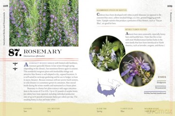 100 Plants to Feed the Bees: Provide a Healthy Habitat to Help Pollinators Thrive - The Xerces Society [KSIĄŻKA]
