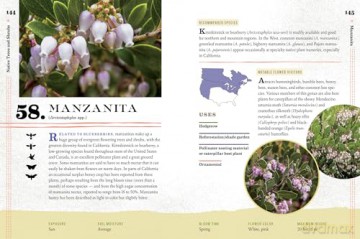 100 Plants to Feed the Bees: Provide a Healthy Habitat to Help Pollinators Thrive - The Xerces Society [KSIĄŻKA]