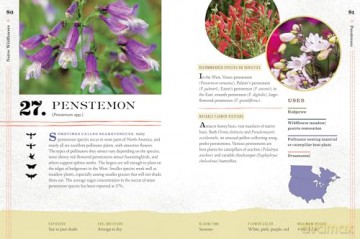 100 Plants to Feed the Bees: Provide a Healthy Habitat to Help Pollinators Thrive - The Xerces Society [KSIĄŻKA]