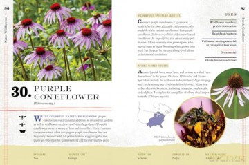 100 Plants to Feed the Bees: Provide a Healthy Habitat to Help Pollinators Thrive - The Xerces Society [KSIĄŻKA]