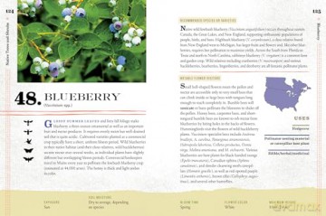 100 Plants to Feed the Bees: Provide a Healthy Habitat to Help Pollinators Thrive - The Xerces Society [KSIĄŻKA]