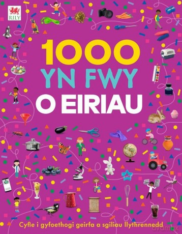 1000 yn Fwy o Eiriau - Gill Budgell [KSIĄŻKA]